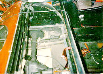 Left Side in Trunk